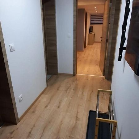 Le Cocon Des Pres Apartment Saint-Hubert Bagian luar foto